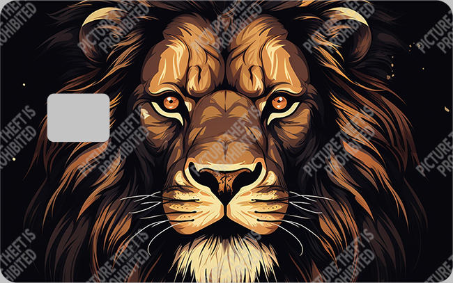 Bank  Card Sticker-BC-198